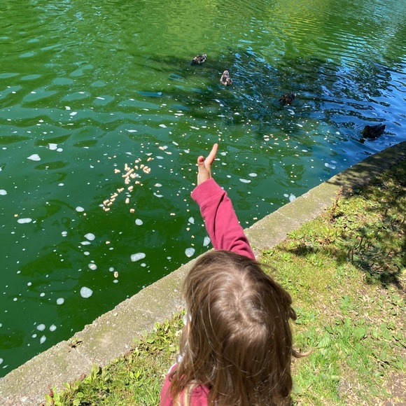 Meet your Posher, Tierney - Picture 2 of 15